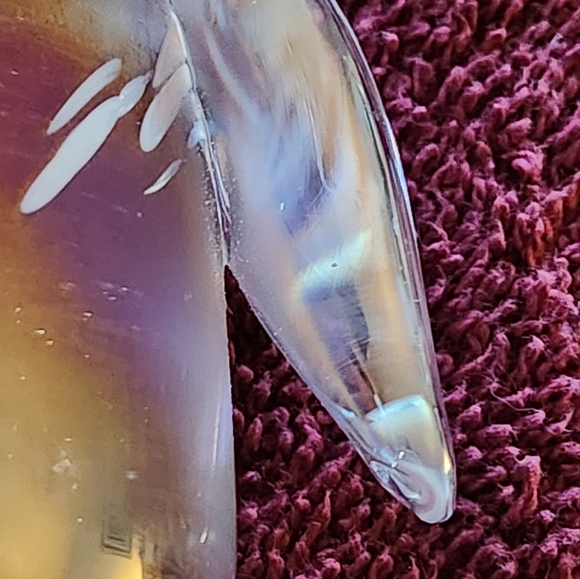 Crystal Penquin Decor - Picture 10 of 12